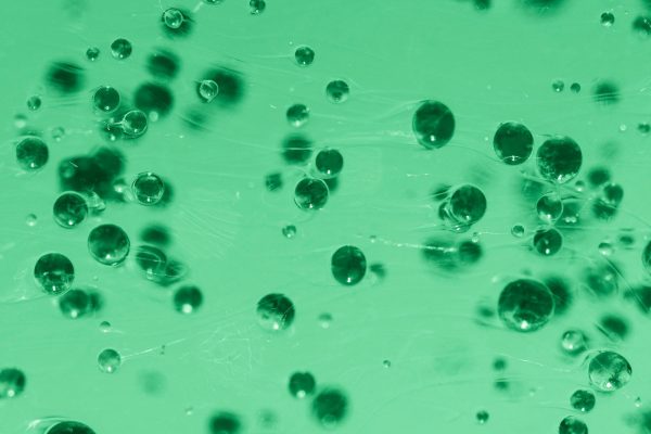 recepteurs cannabinoides H4CBD