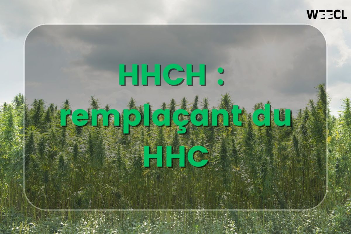 HHCH remplaçant HHC