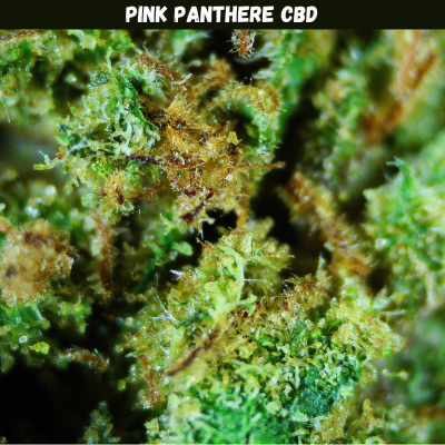 Pink Panther CBD fleur française