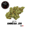 Amnésia JSH CBD