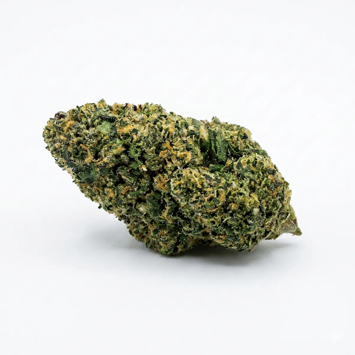 GELATO (CBD) - Indoor