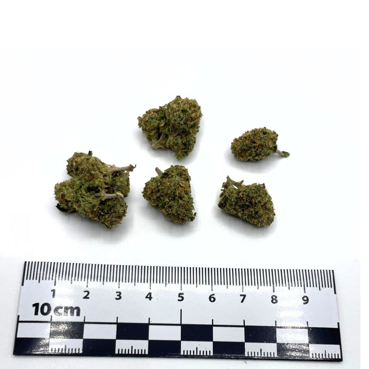 BLUEBERRY MUFFIN Medium CBD – Image 2