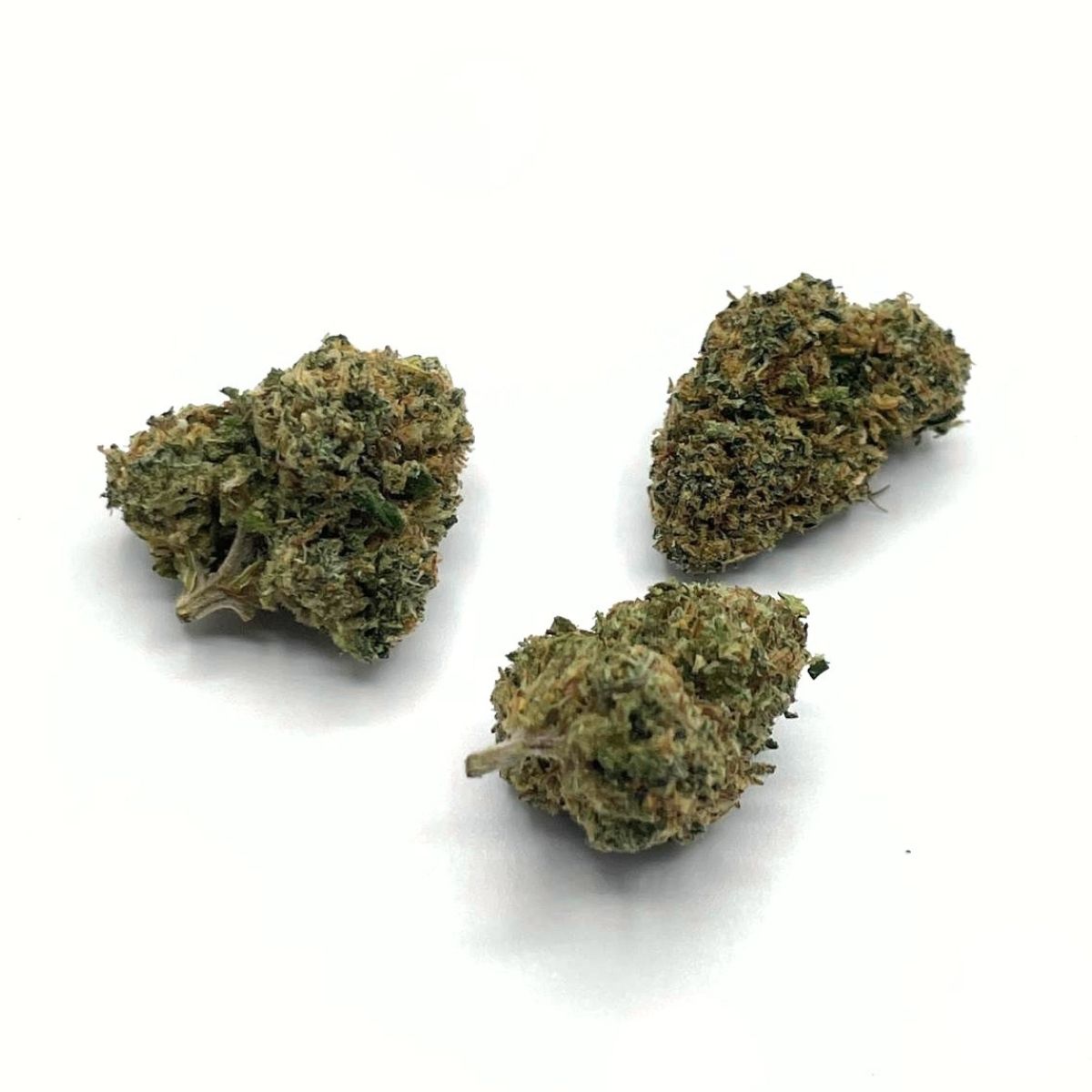 BLUEBERRY MUFFIN Medium CBD – Image 4