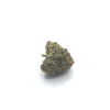 AMNESIA SOUR MEDIUM INDOOR
